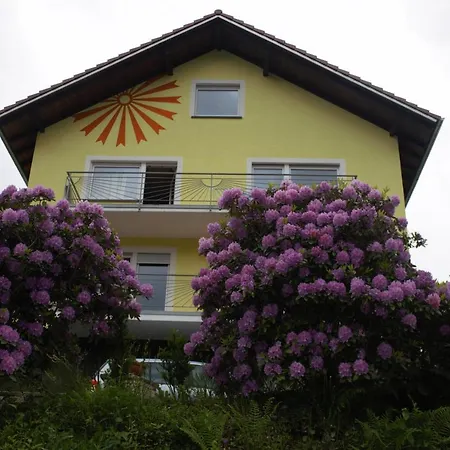 Apartment Ferienwohnungen Buehl